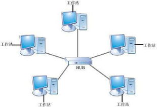 西城高級(jí)中學(xué)網(wǎng)絡(luò)技術(shù)應(yīng)用模塊期末試題解析 計(jì)算機(jī)軟硬件技術(shù)開發(fā)
